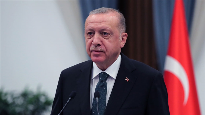 Erdoğan orman yangınlarından etkilenen bölgelerde incelemelerde