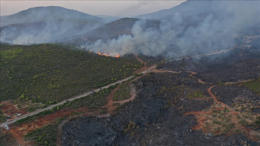 Bodrum'daki orman yangınını söndürme çalışmaları aralıksız sürüyor