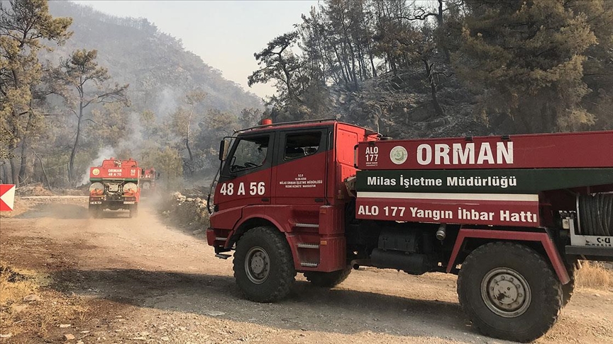 Milas, Bodrum ve Kavaklıdere'deki orman yangınlarına havadan ve karadan müdahale sürüyor