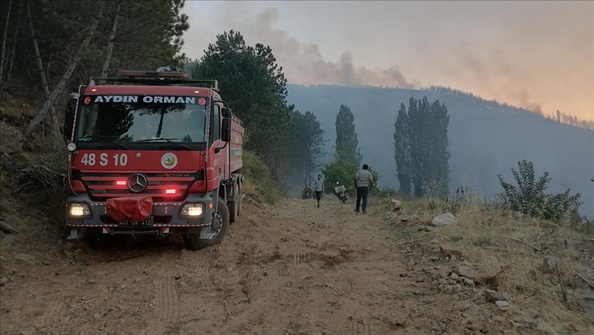 Aydın'ın Karacasu ilçesindeki orman yangınına müdahale sürüyor