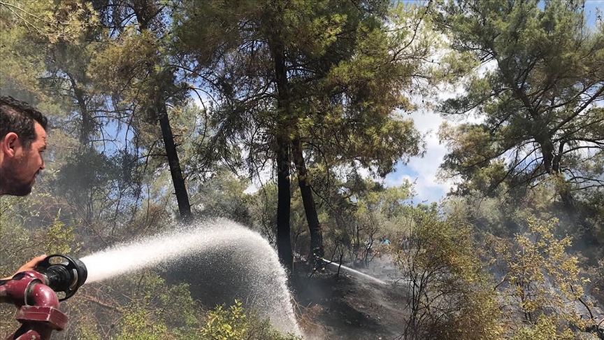 Antalya'da çıkan orman yangınları büyümeden söndürüldü