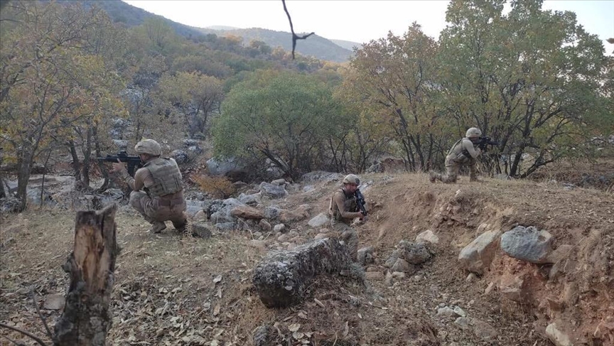 Siirt'te 'Eren Kış-5 Şehit Jandarma Üsteğmen Ersan Yenici' Operasyonu başlatıldı