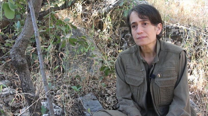 MİT, sözde PKK-HPG konseyi üyesi terörist Hanım Demir'i etkisiz hale getirdi