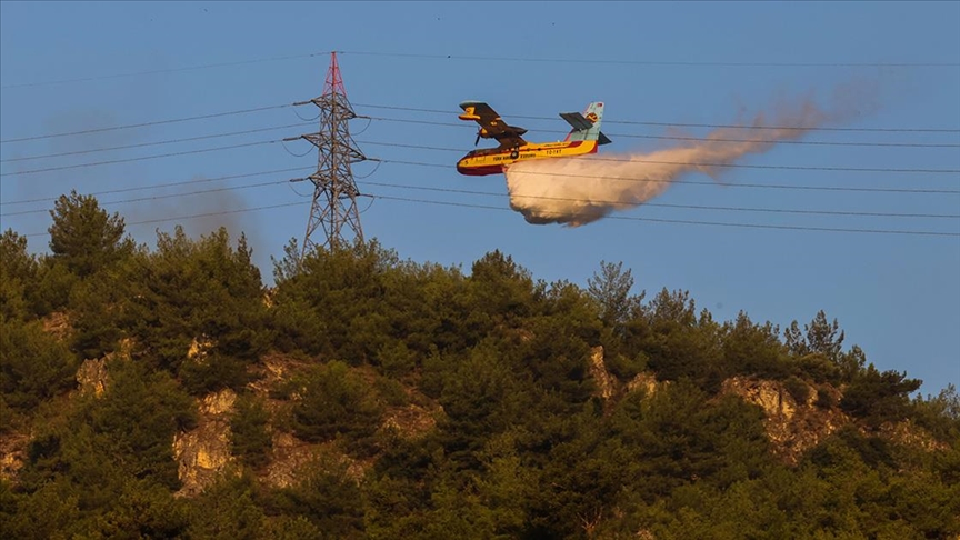 Aydın'daki orman yangını kontrol altına alındı