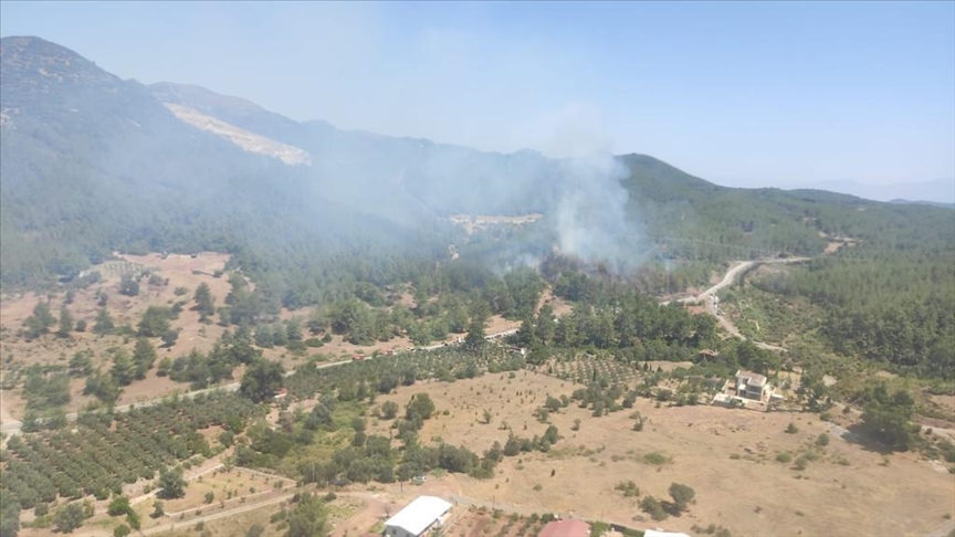 İzmir'de çıkan orman yangınına müdahale ediliyor