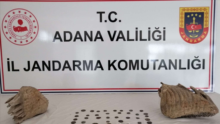 Adana'da mamut çenesi olduğu değerlendirilen iki fosil ele geçirildi!