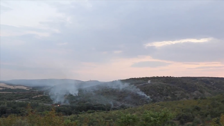 Bulgaristan'da Orman Yangını Sürüyor