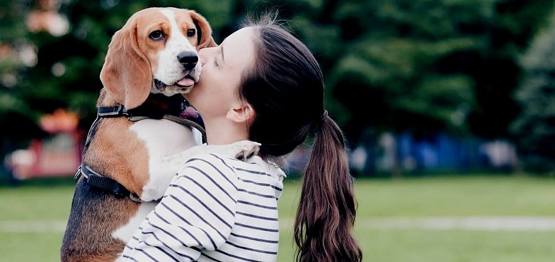 Araştırma: Sahiplerine kavuşan köpekler sevinçten ağlayabilir