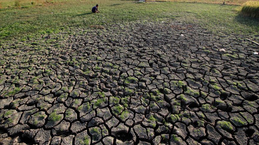 BM Gıda ve Tarım Örgütü: Su kıtlığı, Orta Doğu'da gıda güvenliğini tehdit ediyor