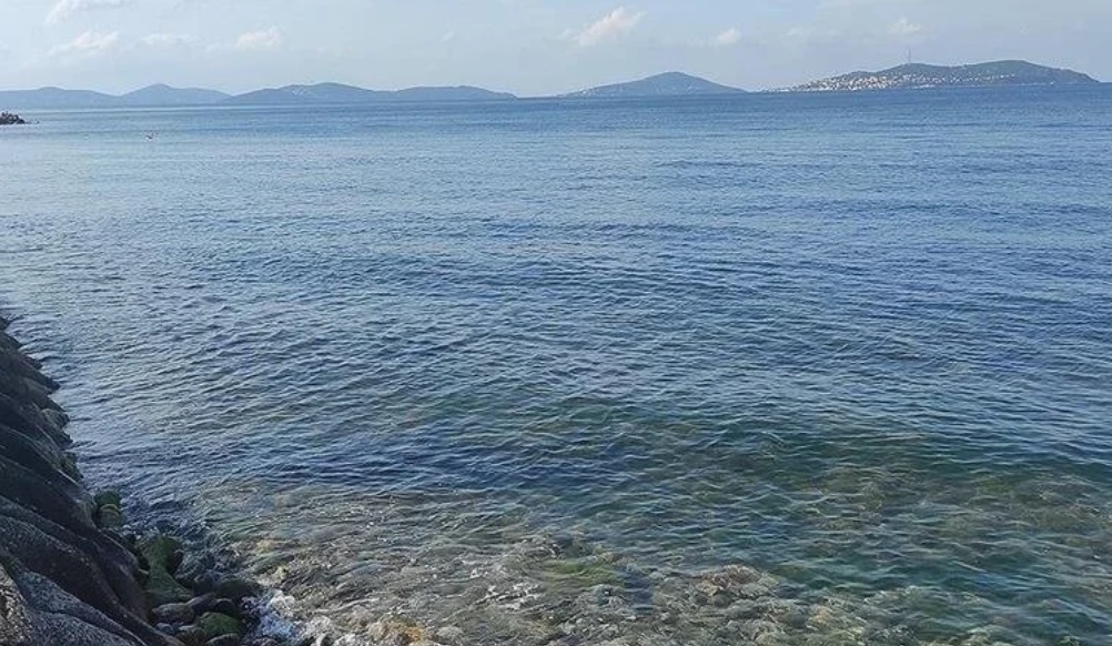 Türkiye Çevre Haftası "Temiz Deniz, Temiz Dünya" temasıyla kutlanacak!