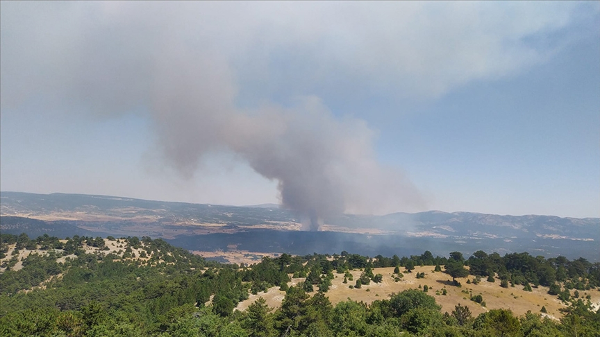 Eskişehir'de ormanlık alanda çıkan yangına müdahale ediliyor