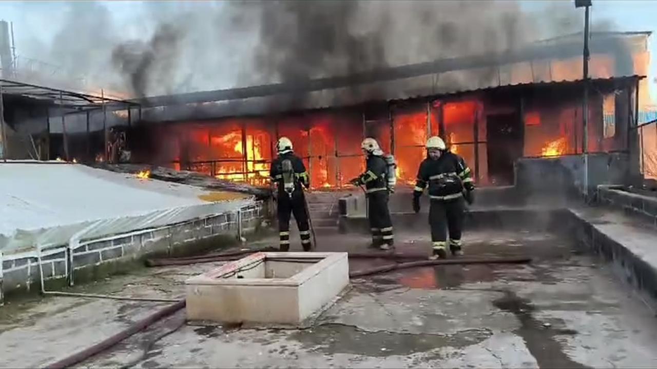 Diyarbakır'da Güvercin Oteli'nde yangın çıktı: Yüzlerce güvercin telef oldu