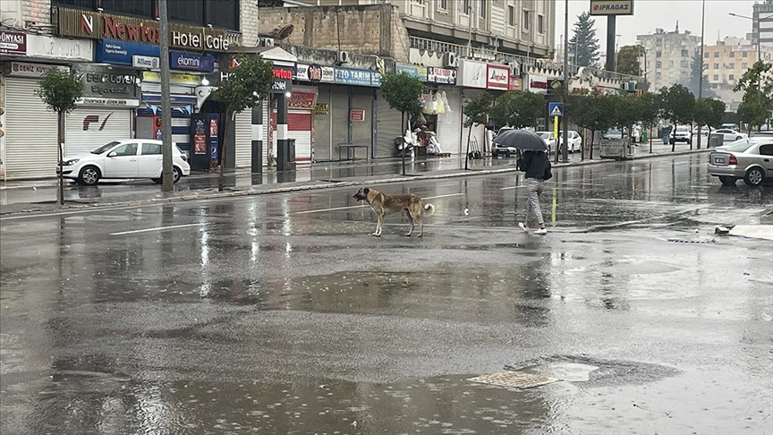 Şanlıurfa'da sağanak nedeniyle eğitime ara verildi