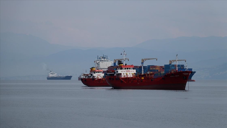 İzmit Körfezi'ndeki limanlara geçen yıl 9 bin 560 yük gemisi uğradı