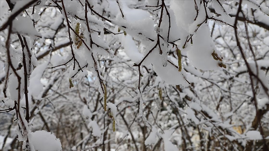 Meteorolojiden zirai don uyarısı