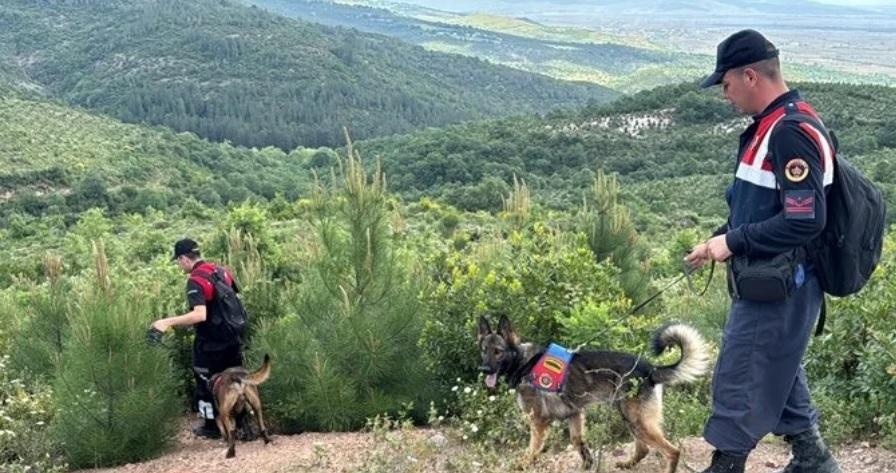 Ekonomist Korhan Berzeg'in Gönen'de evinin yakınındaki aramaların 5. günü de tamamlandı