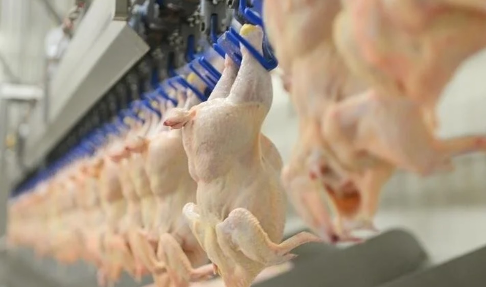 Ticaret Bakanlığı tavuk eti ihracatına sınırlama getirdi