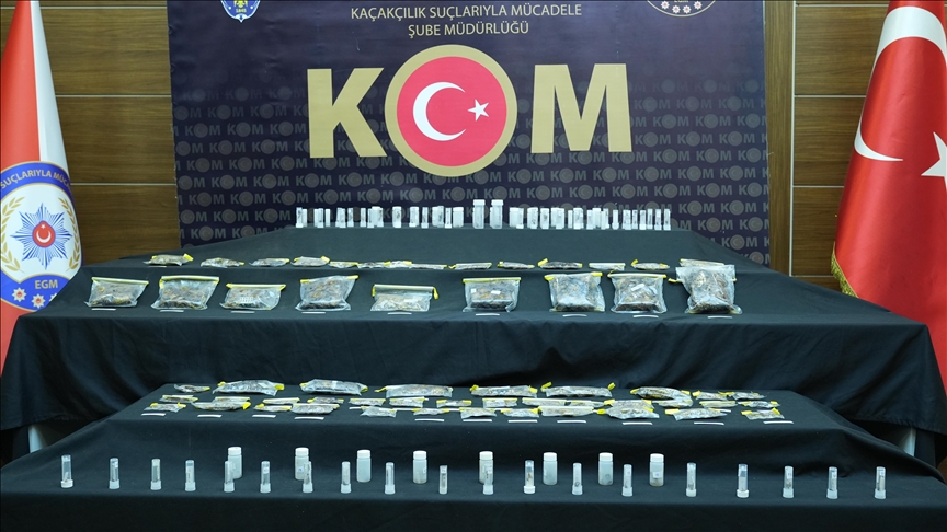 İstanbul'daki kaçakçılık operasyonunda gözaltına alınan ABD'li müze müdürü adli kontrolle serbest