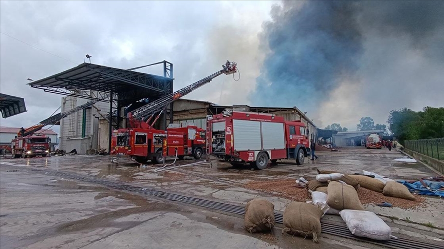 Sakarya'da fındık kırım fabrikasında çıkan yangına müdahale ediliyor