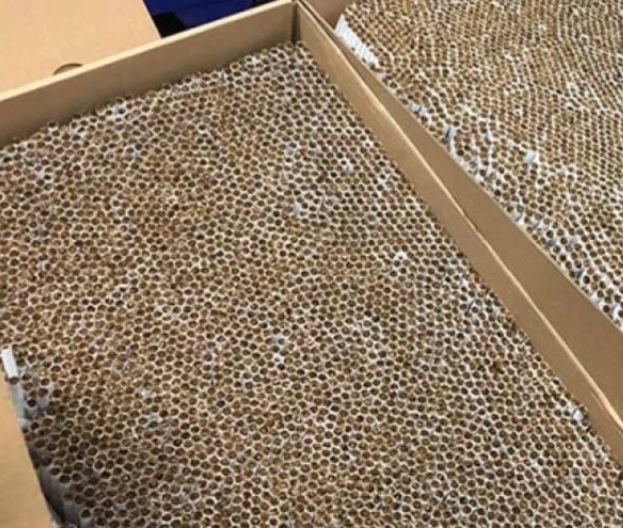 Makaron Üretimi ve Ticaretine İlişkin Usul ve Esaslar Hakkında Yönetmelikte Değişiklik