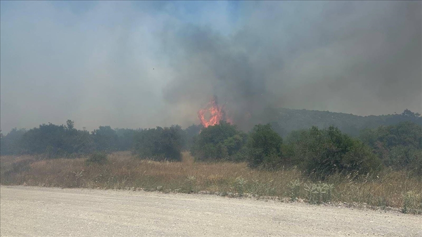 BALIKESİR'İN İVRİNDİ İLÇESİNDE ÇIKAN ORMAN YANGINI KONTROL ALTINDA