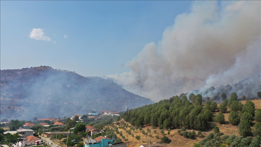 Aydın'da ziraat alanı ve makilikteki yangına müdahale ediliyor