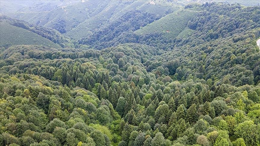 Karaman'da ormanlık alanlara girişler 15 Ekim'e kadar yasaklandı