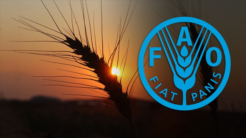 TÜRKİYE, FAO KONSEY ÜYELİĞİNE SEÇİLDİ