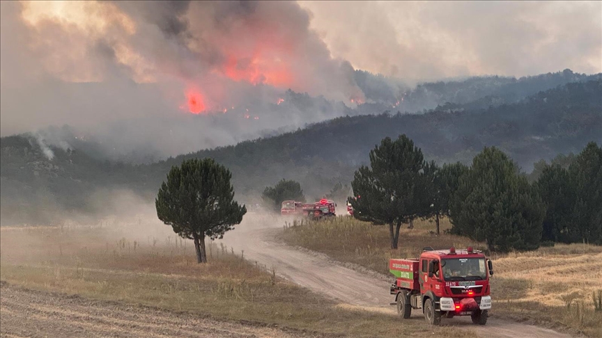 Bakanlar'dan, Eskişehir'deki orman yangını şehitleri için taziye mesajı