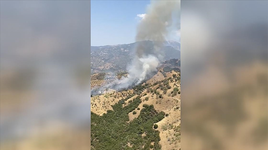 Aydın'da ziraat alanında çıkan yangına müdahale ediliyor