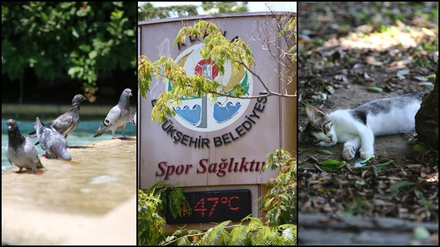 GÜNÜN İLK YARISINDA SICAKLIKLAR 16 KENTTE 40 DERECEYİ GÖRDÜ