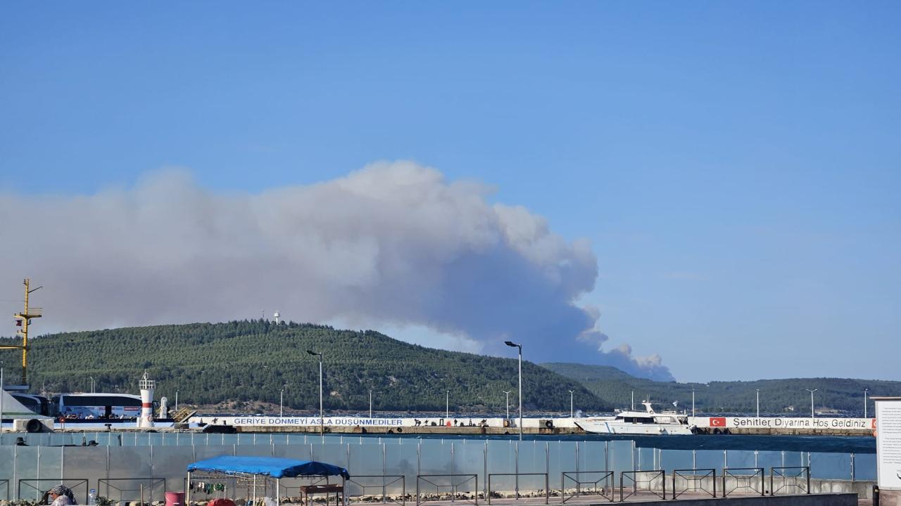 ÇANAKKALE GELİBOLU'DA ORMAN YANGINI