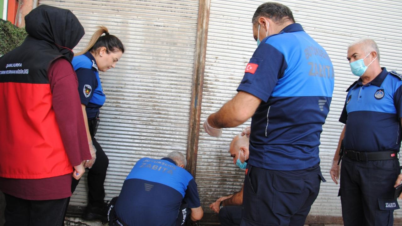 Şanlıurfa'da 1 ton bozuk et ele geçirildi!