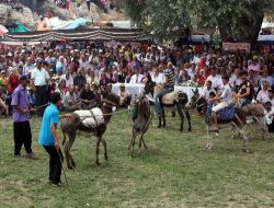 Yörükler Hacıalanı Yaylasındaki Şenlikte Buluştu