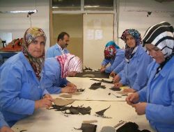 Abant İzzet Baysal Üniversitesi Ayakkabı Tasarım Kursu Açtı