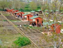 Emeklilere Gaziantepten Örnek Proje: Hobi Bahçesi
