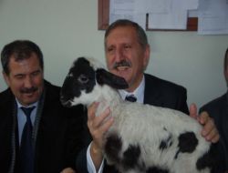 Süt Toplama Merkezi’nin Açılışı Yapıldı 