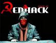 Redhacke sanal terör örgütü işlemi