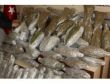 Adanada 5 ayda 7.5 ton uyuşturucu ele geçirildi