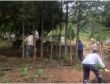 CHPLİLER MEZARLIK TEMİZLEDİ