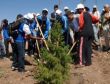 Türkçe Çocukları Sevgi Tepesine Fidan Dikti