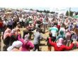 Giresunlular, Ağaçbaşı-kulakkaya Festivalinde Buluştu