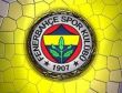 Fenerbahçenin kasası boşaldı!!