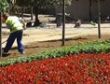 Gezi Parkı yeniden açıldı!