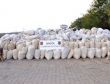 BİNGÖLDE 4 TON ESRAR