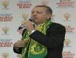 Üç kafadar üç şaşkın ördeğe döndü