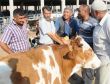 Kurban Bayramı tatili 9 gün olacak mı?