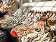 Yılbaşında 500 bin hindi kesilecek!