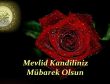 Diyanetten Mevlit kandili mesajı