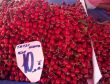 Kirazın kilosu 10 liraya çıktı